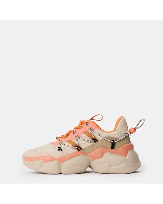 Steve Madden Pink Spectator Low-Top Trainers