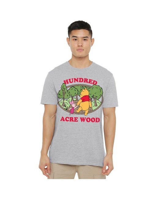 Disney Gray Winnie The Pooh Hundred Acre Wood Badge T-Shirt A for men