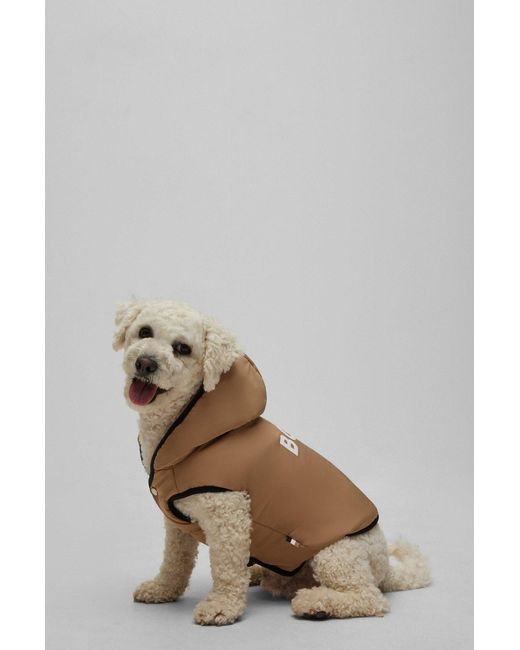 Boss Natural Dog Lightweight Jacket With Logo Detailing