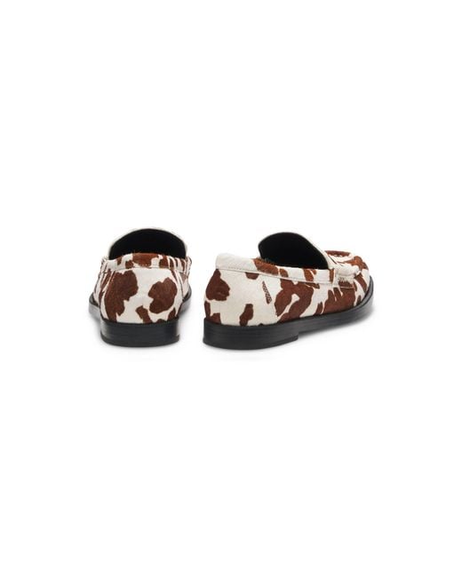 HUGO Brown Semi-Squared Loafers With Tonal Hardware