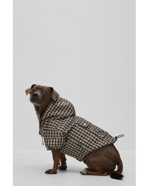 BOSS by HUGO BOSS Dog Waterproof Rain Jacket in Black