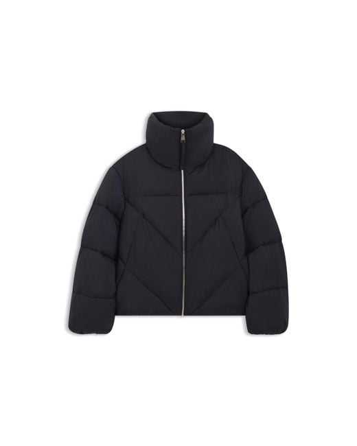 Boss Blue Zipped Puffer Jacket