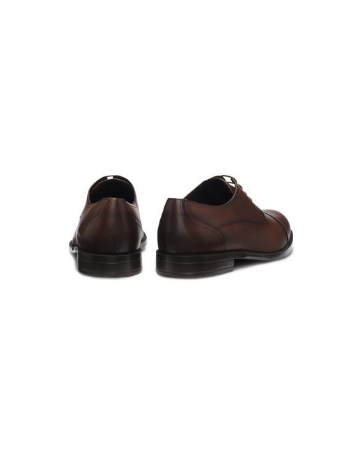 Boss Brown Leather Derby Shoes With Cap Toe for men