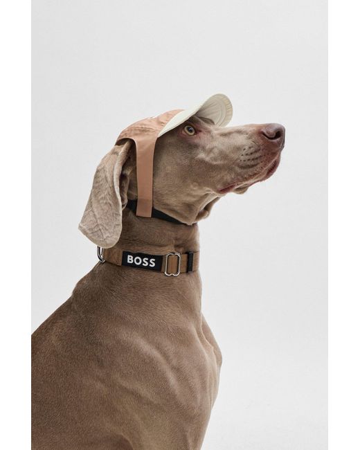 Boss White Dog Hat With Signature Details And Adjustable Band