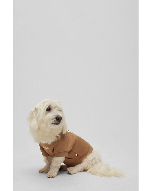 Boss Natural Dog Sweater In A Cotton Blend