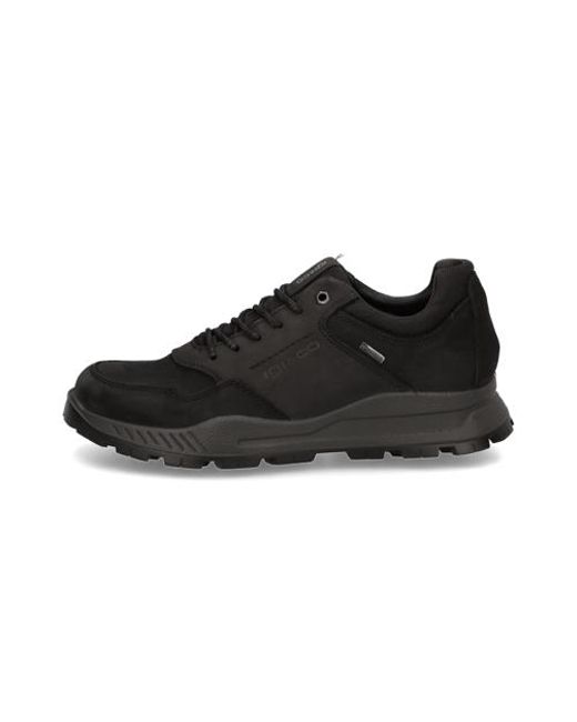 Igi&co Eloy Gtx in Black für Herren