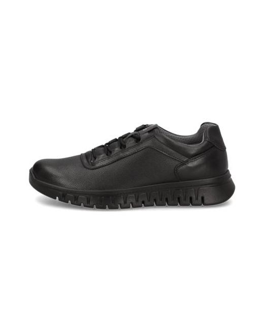 Igi&co Sneaker in Black für Herren