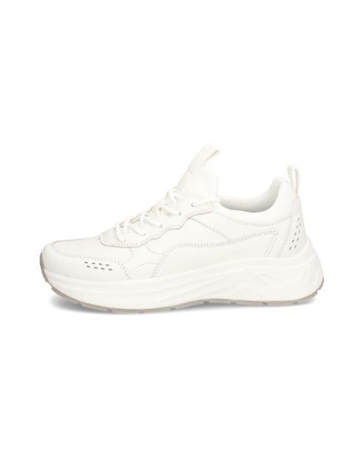 Salamander White Sneaker