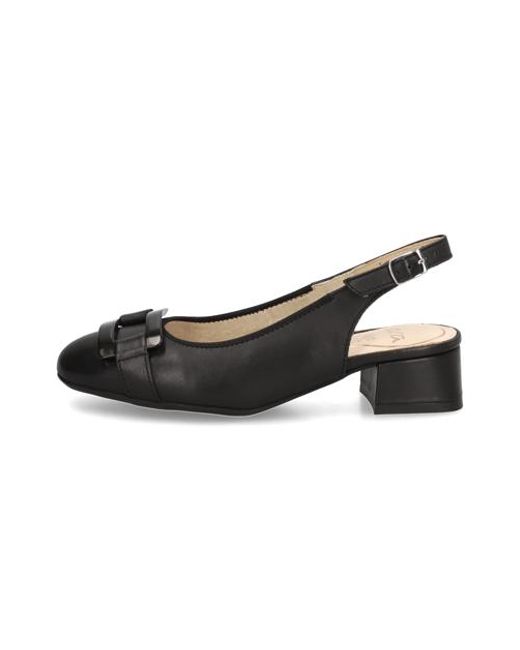 Ara Black Graz 2.0