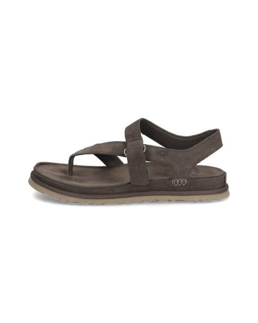 Ugg Brown Goldengaze Toe Post
