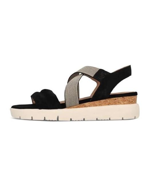 Salamander Black Sandale