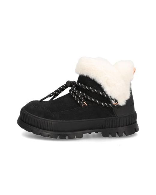 Palladium Black Pallashock Lo Hiver
