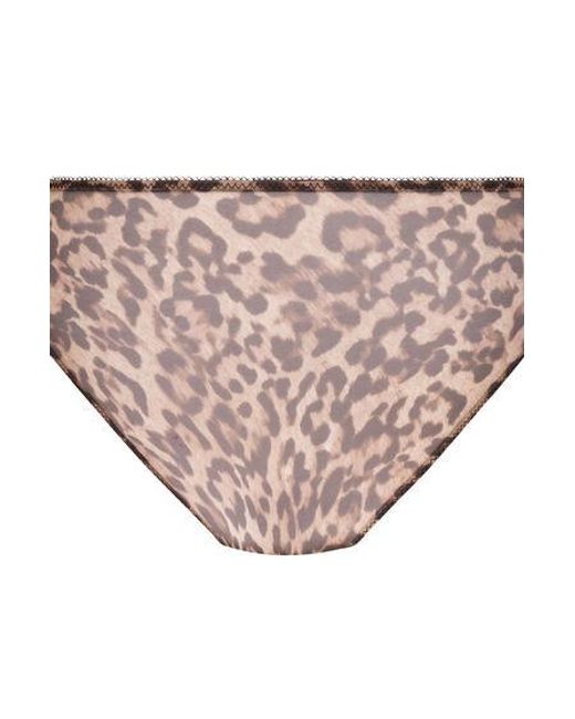 Hunkemöller Brown Diva Non-Padded Underwired Bra