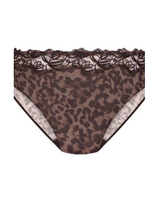 Hunkemöller Brown Diva Non-Padded Underwired Bra