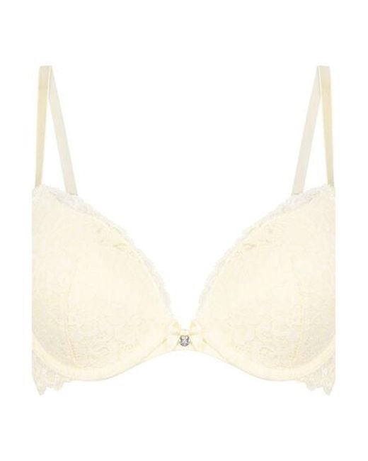 Hunkemöller Brown Marine Padded Underwired Push-Up Bra