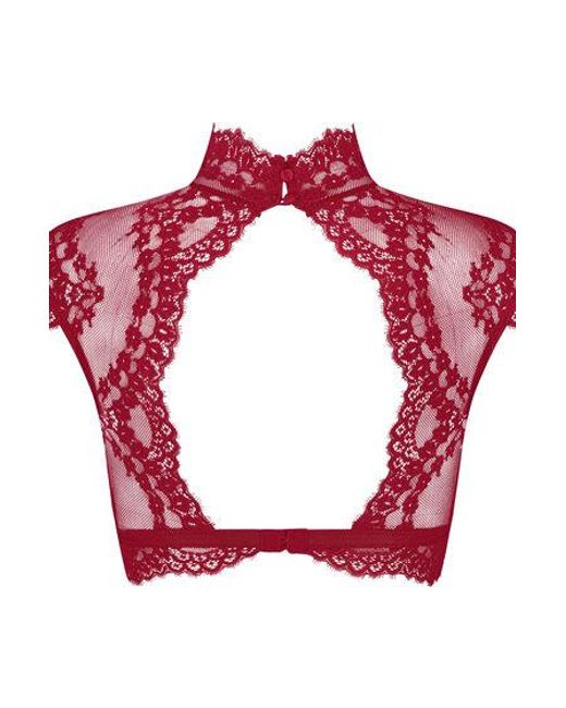 Hunkemöller Red Daisy Bralette