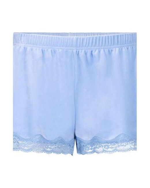 Hunkemöller Blue Short Velours Lace