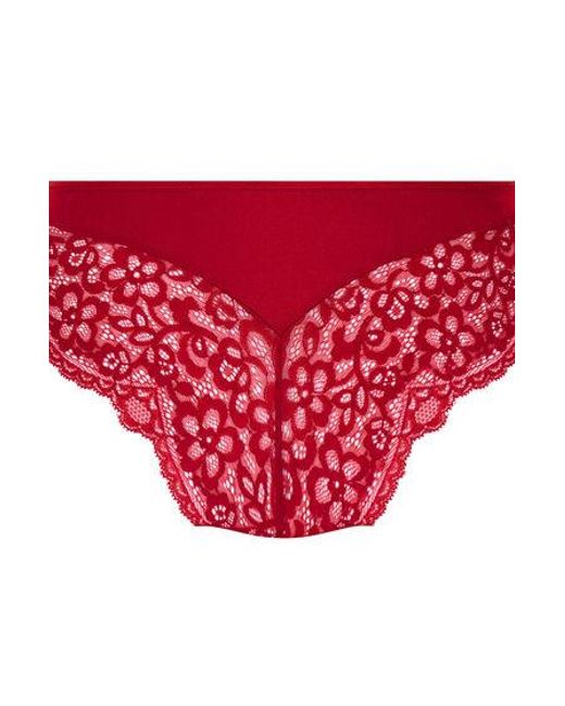 Hunkemöller Marine Padded Underwired Push-Up Bra