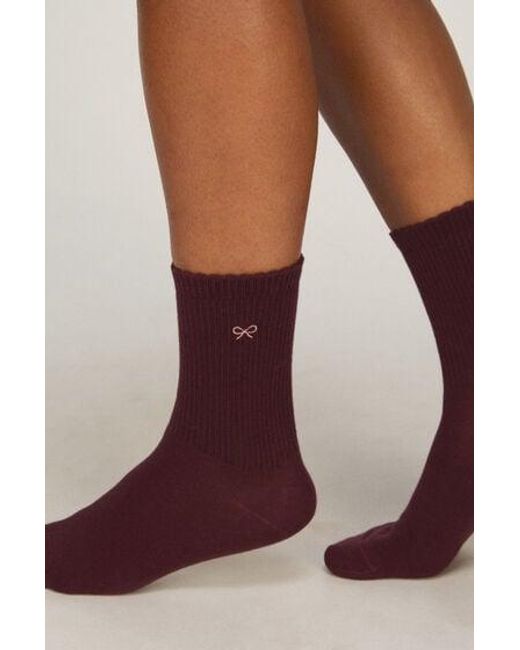 Hunkemöller Purple 2 Pair Cotton Crew Socks