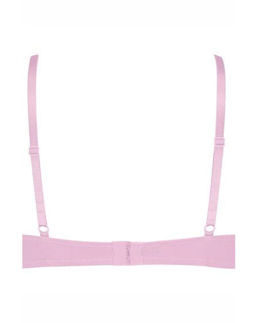 Hunkemöller Brown Plunge Padded Underwired Bra