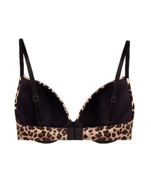 Hunkemöller Brown Plunge Padded Underwired Bra