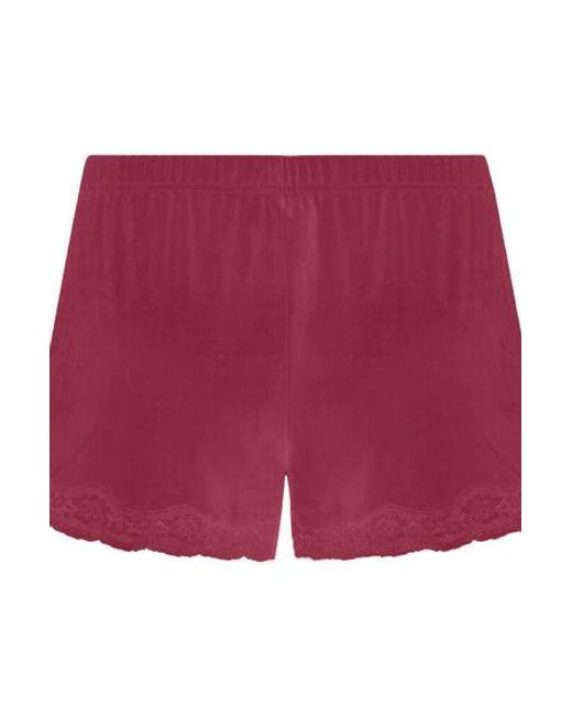 Hunkemöller Red Short Velours Lace