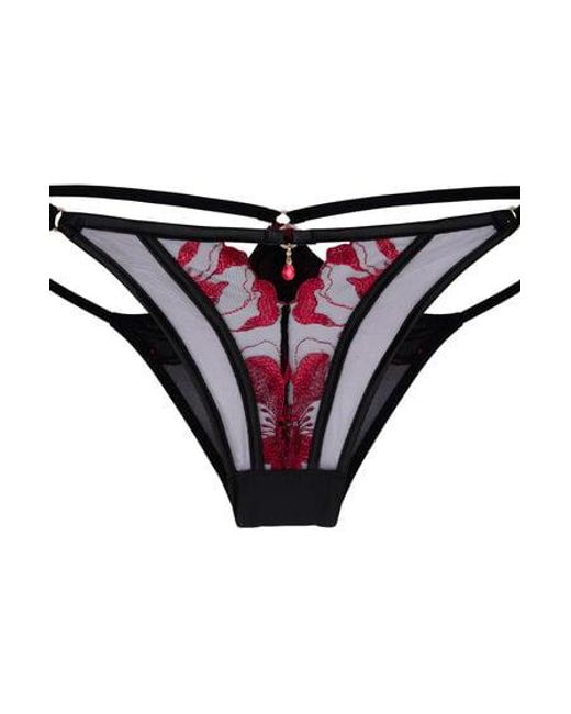Hunkemöller Blue Brazilian Dahlia