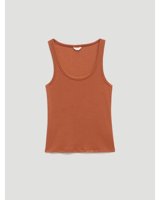 Hush Brown Scoop Neck Ribbed Vest