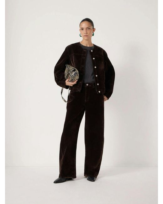 Hush Black Velma Velvet Flocked Collarless Denim Jacket