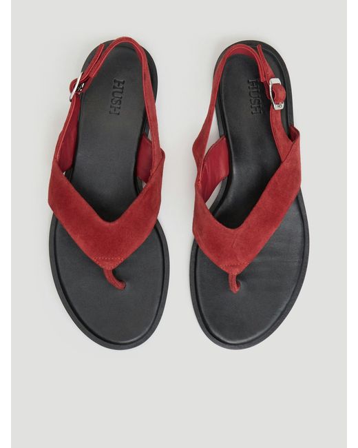 Hush Blue Zenya Suede Toe Post Sandal