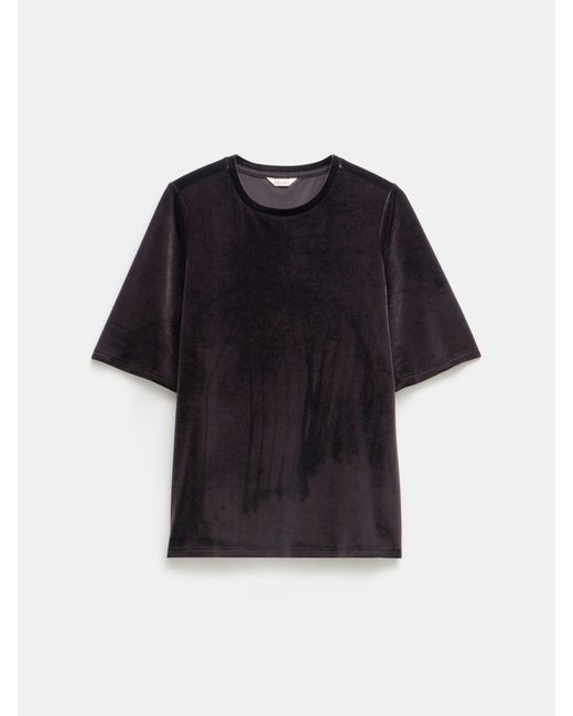 Hush Black Hadley Velvet T-Shirt