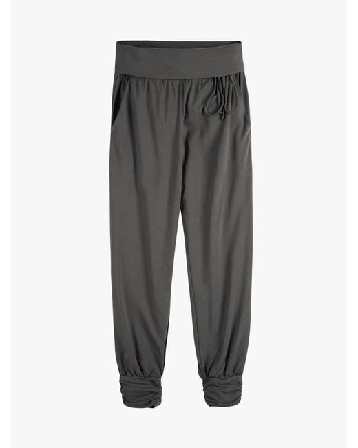 Hush White Alexa Harem Trousers