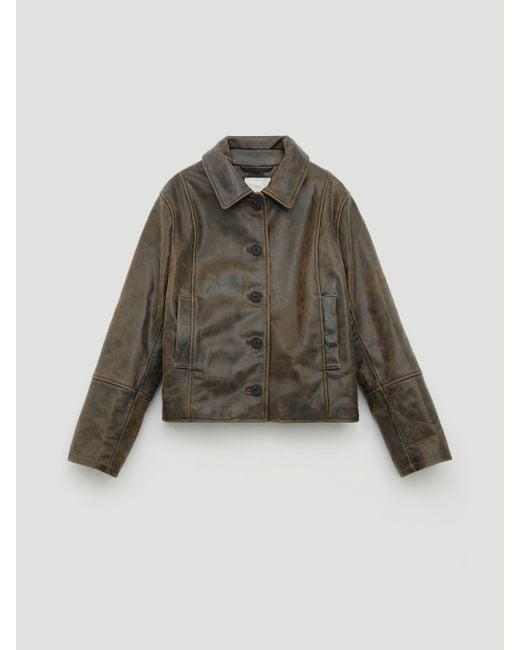 Hush Brown Ana Distressed Leather Jacket