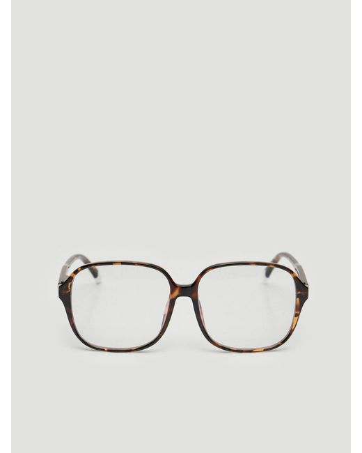 Hush Brown Barner Pascal Glossy Reading Glasses