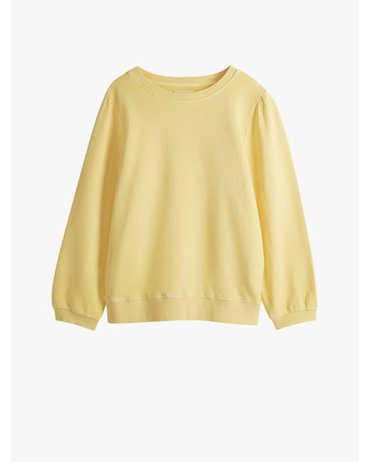 Hush Blue Tiffany Cotton Sweatshirt