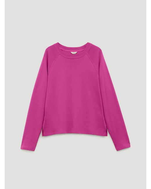 Hush Purple Matilda Raglan Top