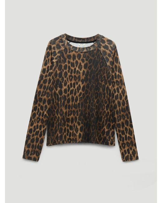 Hush Multicolor Matilda Raglan Top