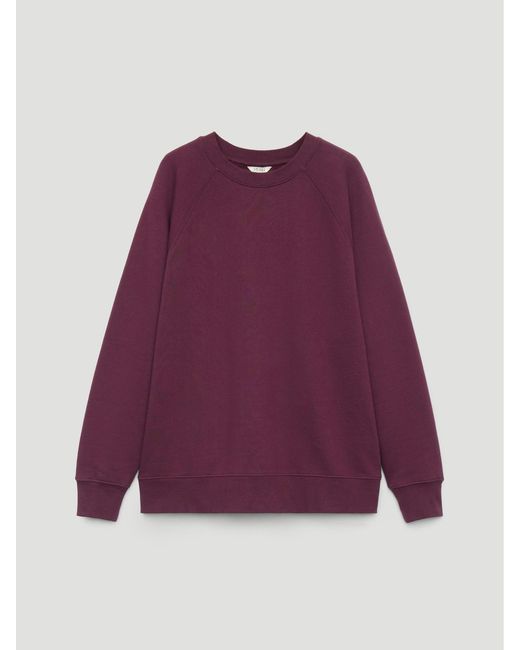Hush Purple Quinn 2.0 Washed Sweatshirt