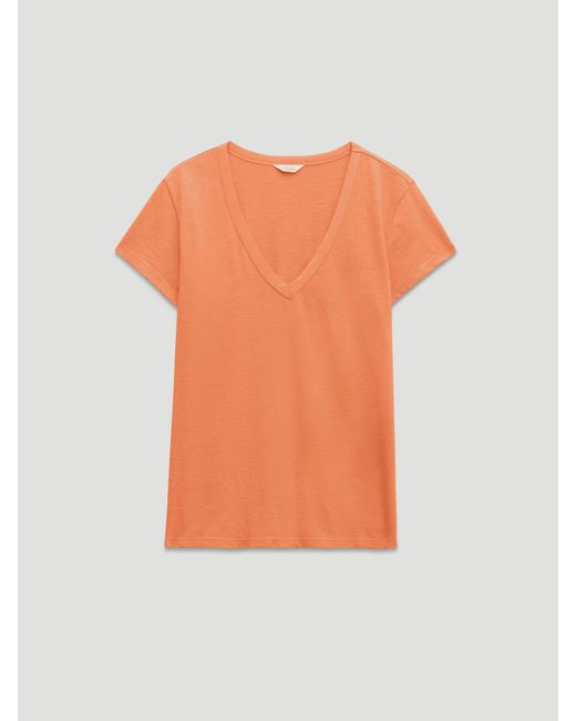 Hush Blue Slim Fit Slub Cotton V Neck T-Shirt