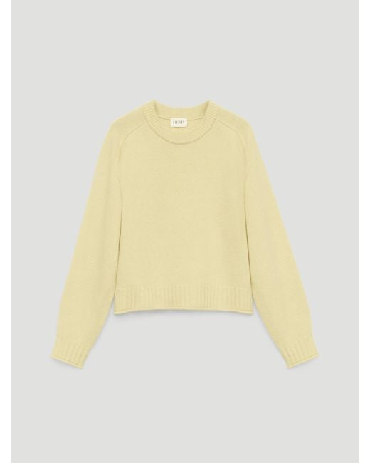 Hush Yellow Nina Merino Wool Jumper
