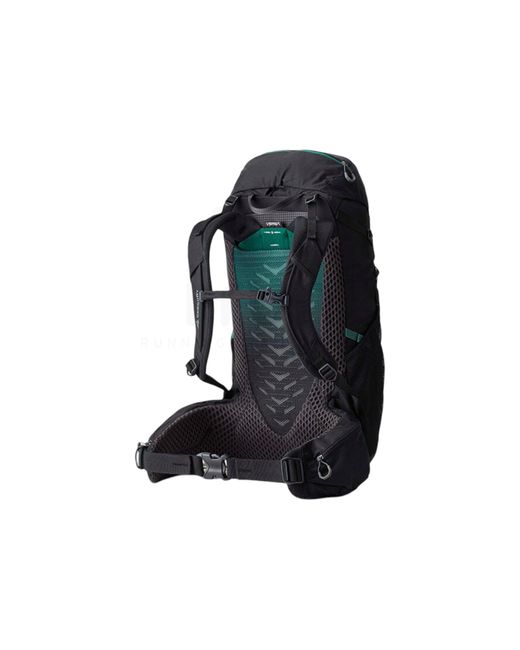 Stout 35 Gregory de hombre de color Black