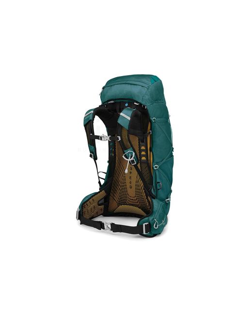 Eja 48 Osprey de color Green
