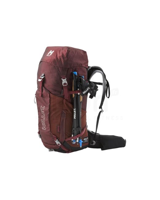 Ubic 40 Millet de color Red