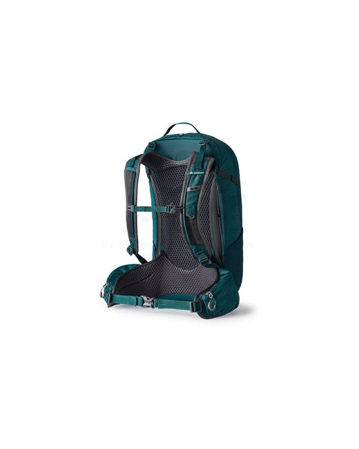 Juno 24 Gregory de color Green