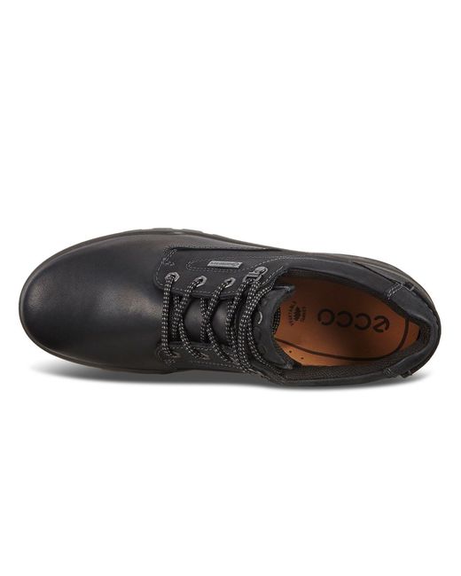 ecco shoes gore tex man