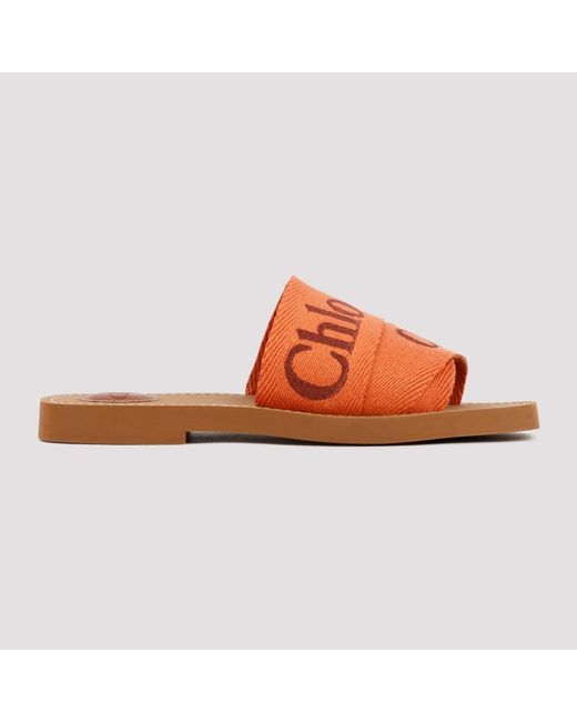 Woody flat deals mule chloe