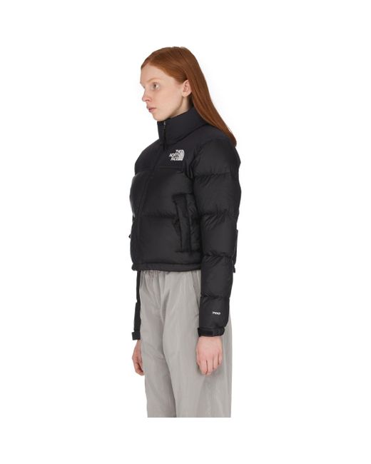 The North Face Nuptse Crop Jacket In Black Lyst