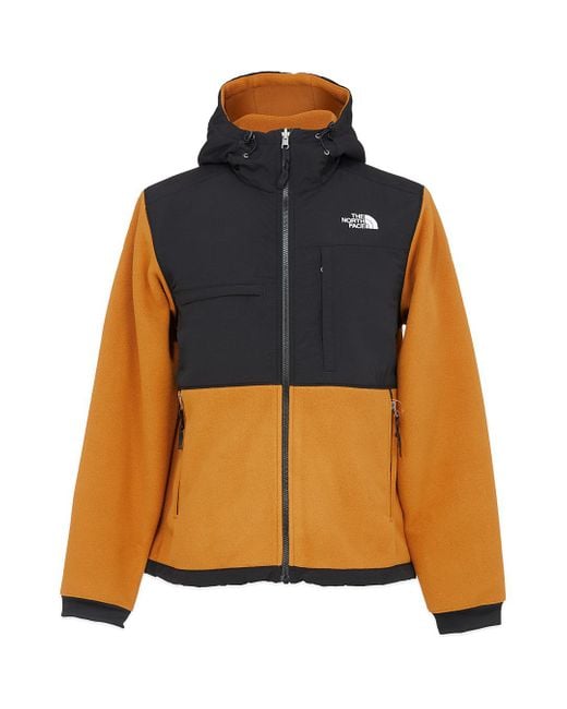 the north face men's denali 2 hoodie