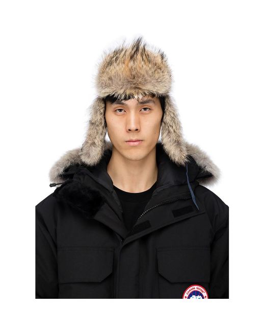 Canada Goose Fur Aviator Hat in Black 