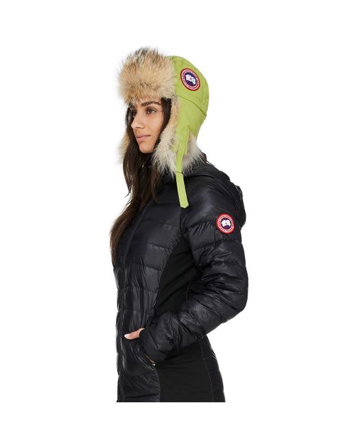 Canada Goose Fur Aviator Hat in Green 